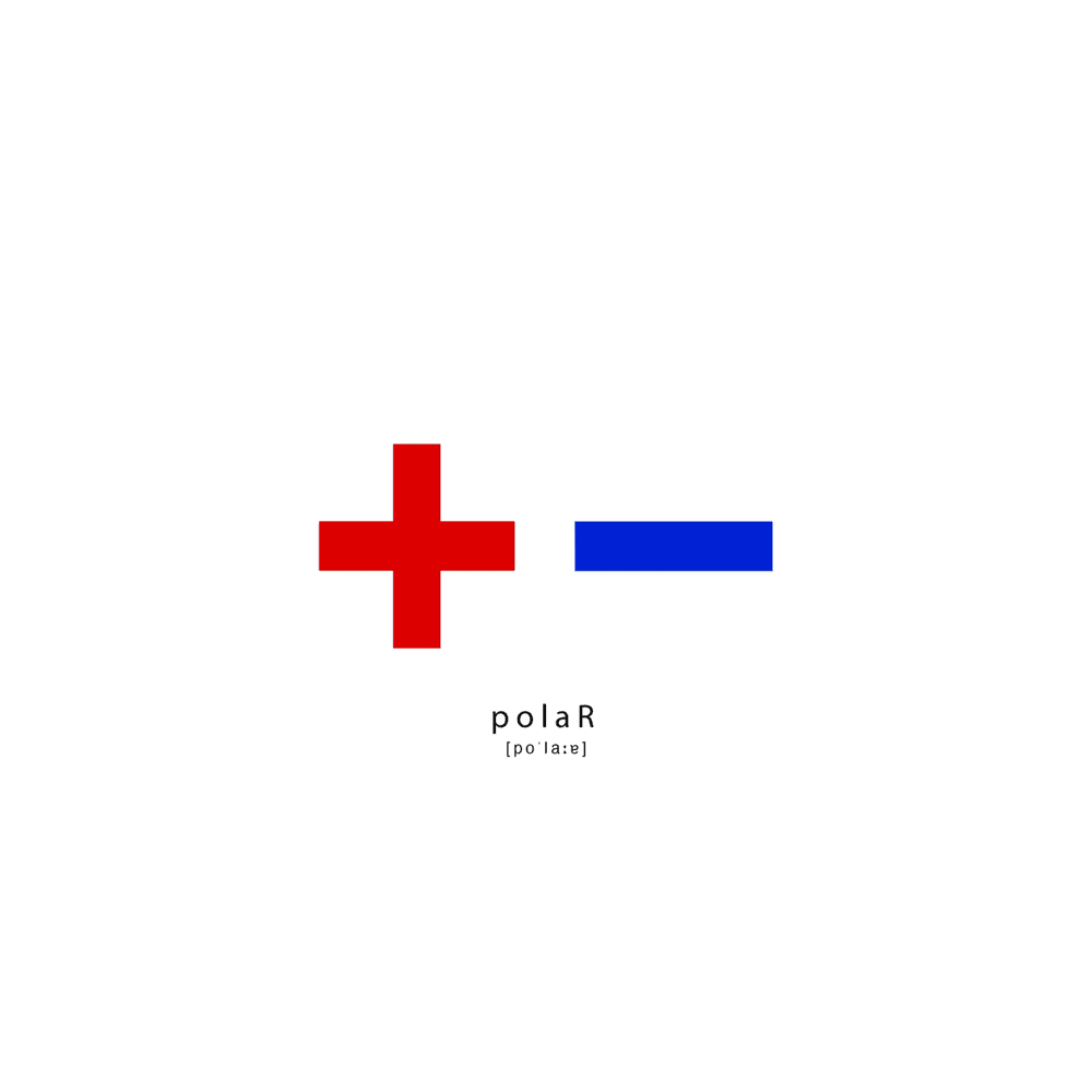 Cover von Polar