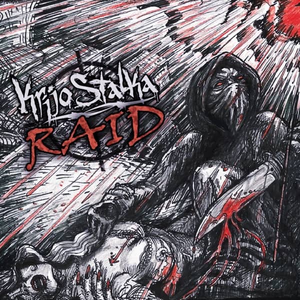 Cover von R.A.I.D.
