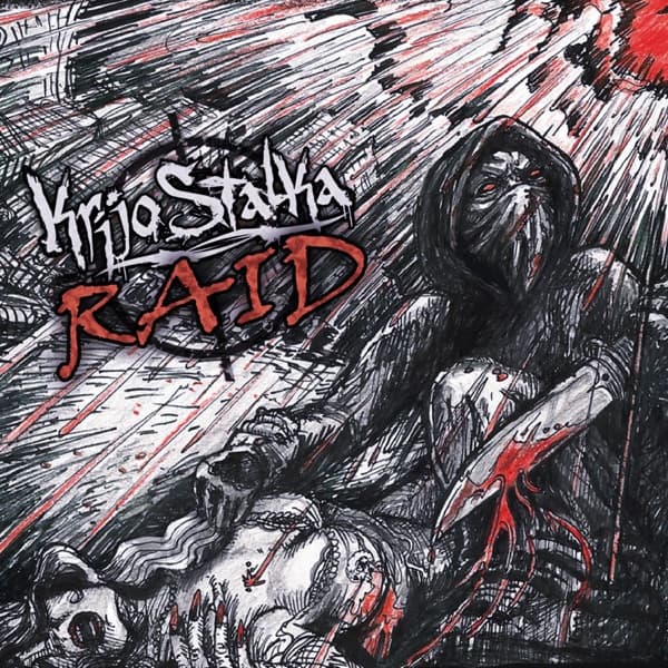 Cover von R.A.I.D.