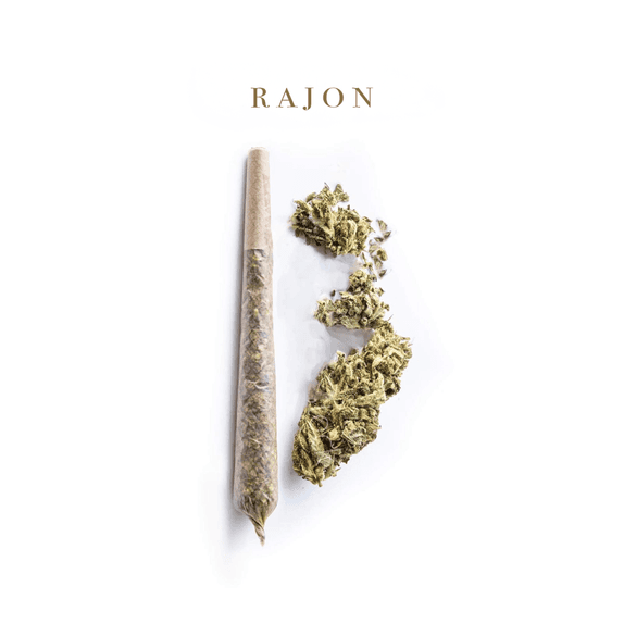 Cover von Rajon 13