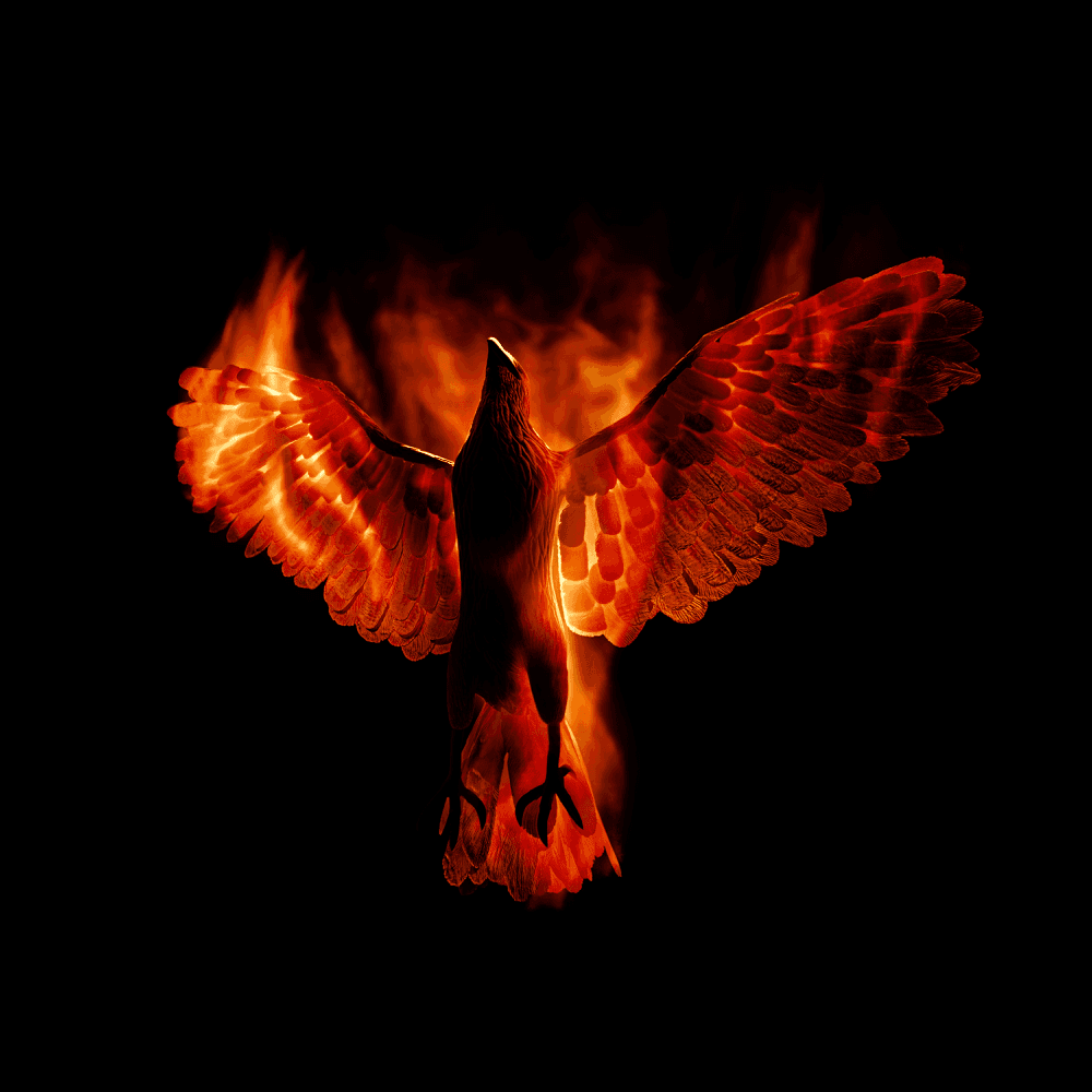 Cover von Reborn