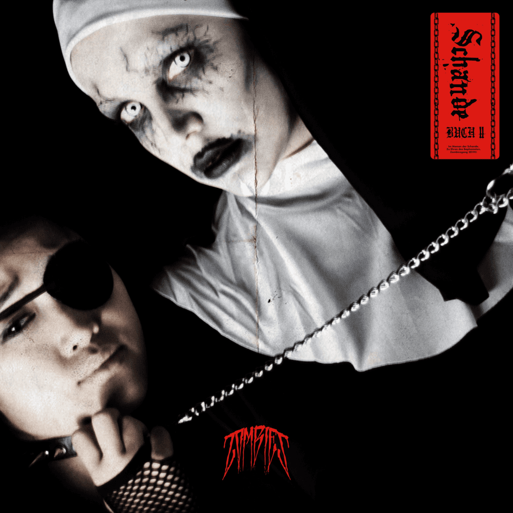 Cover von Schande Buch 2