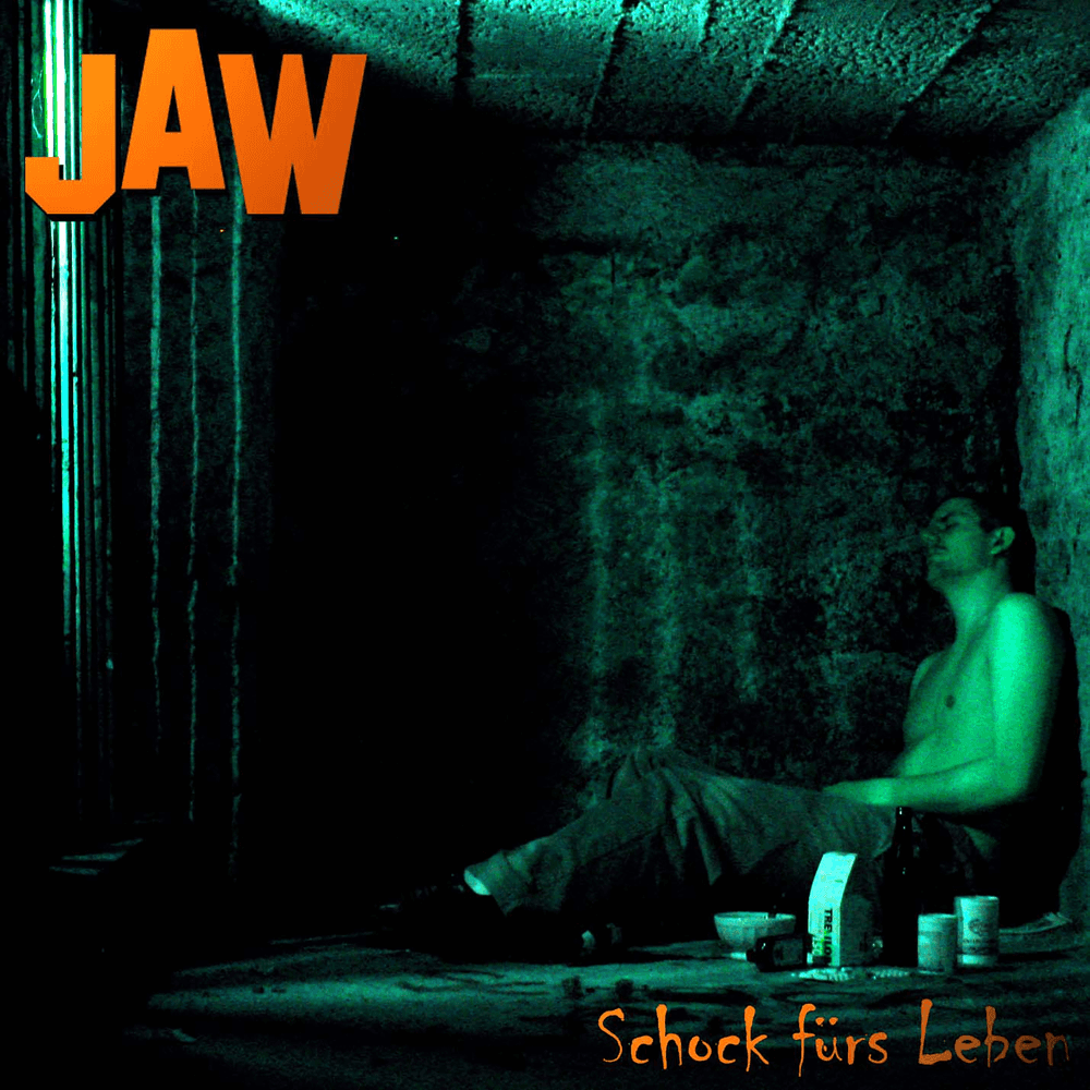 Cover von Schock fürs Leben