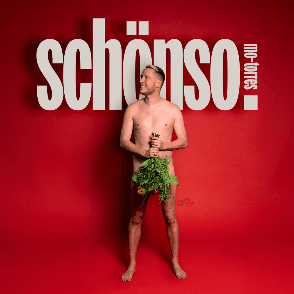 Cover von Schönso.