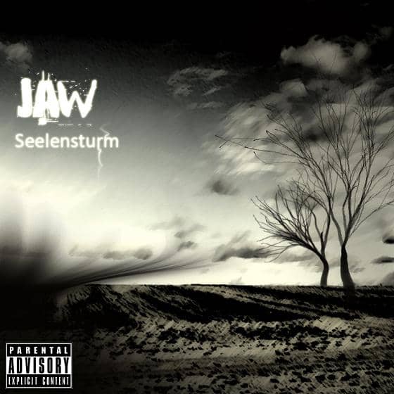 Cover von Seelensturm