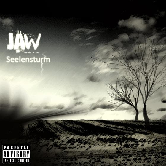 Cover von Seelensturm