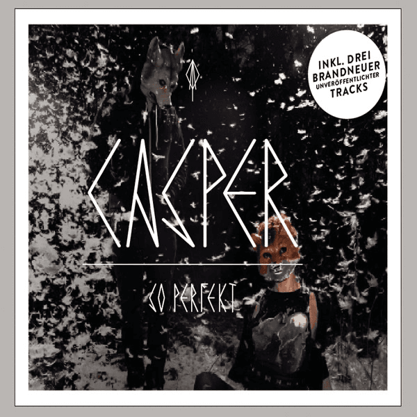 Cover von So Perfekt