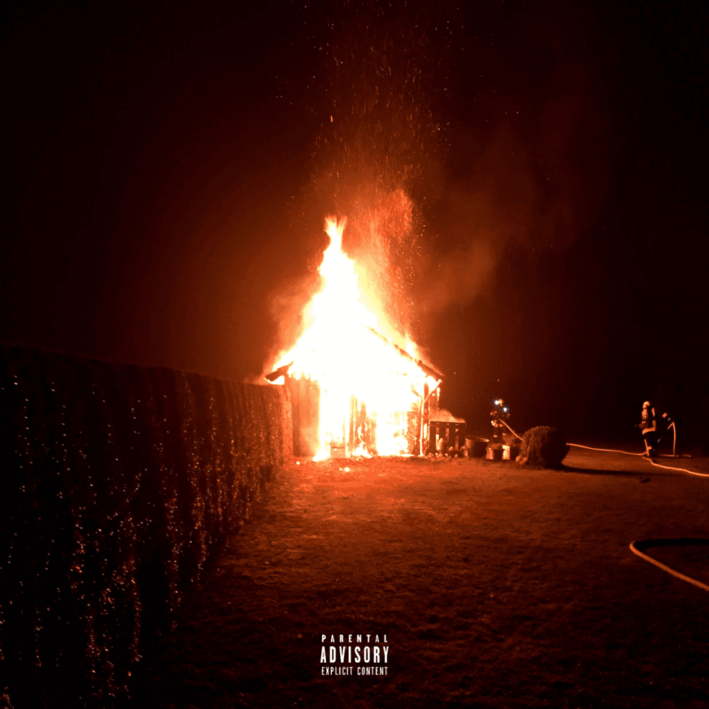 Cover von Stoned ohne Grund