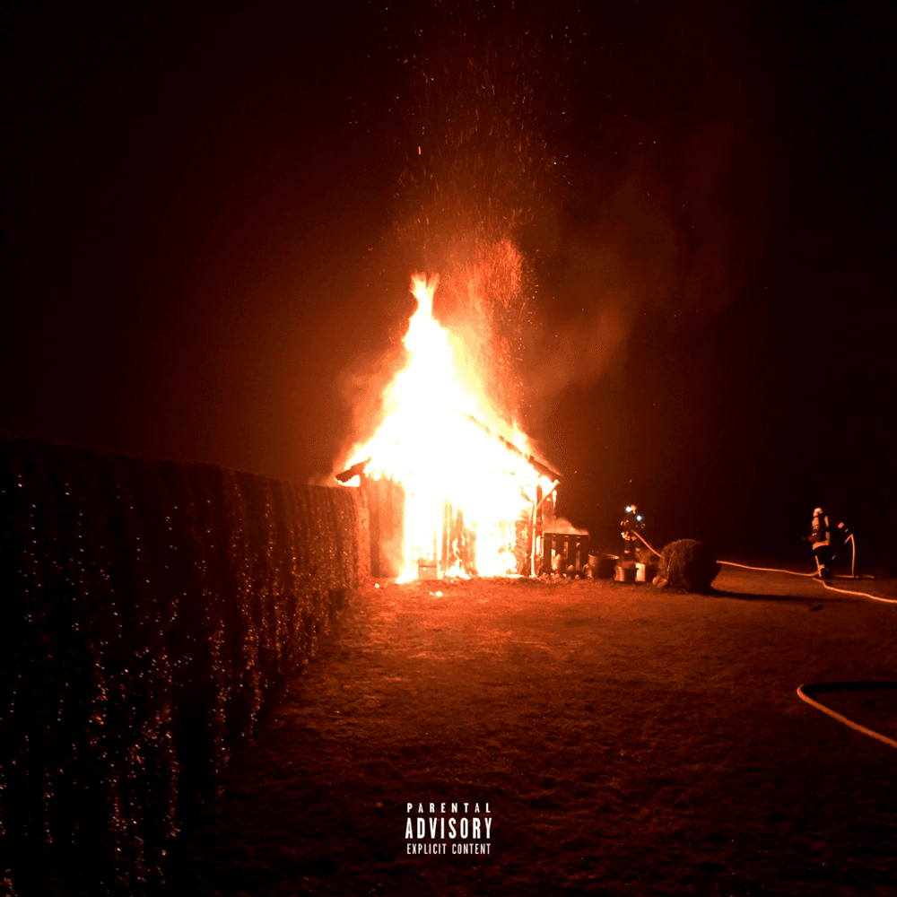 Cover von Stoned ohne Grund