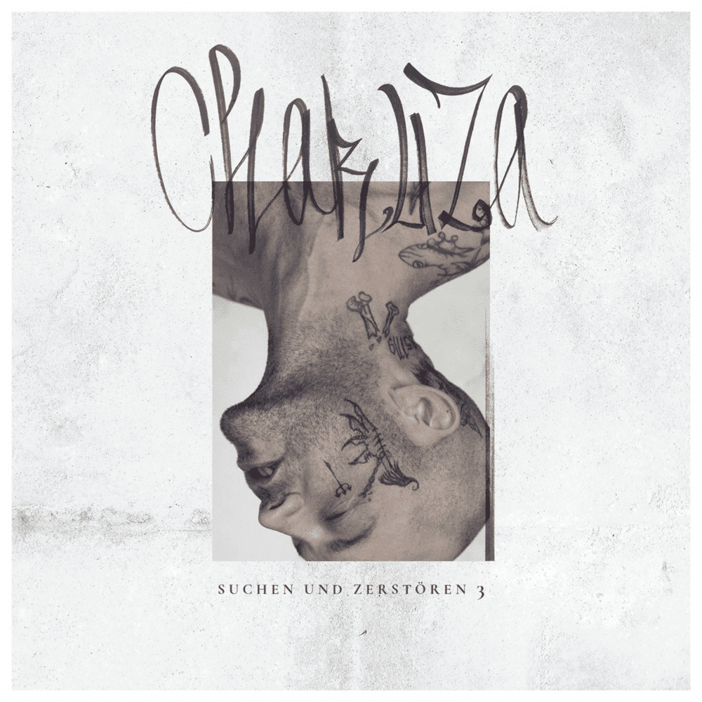 Cover von Suchen & Zerstören 3