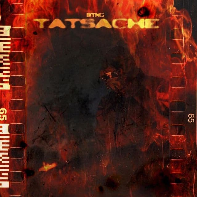 Cover von Tatsache