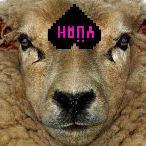 Cover von Und mein nächstes Album kaufst du