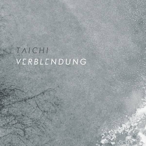 Cover von Verblendung