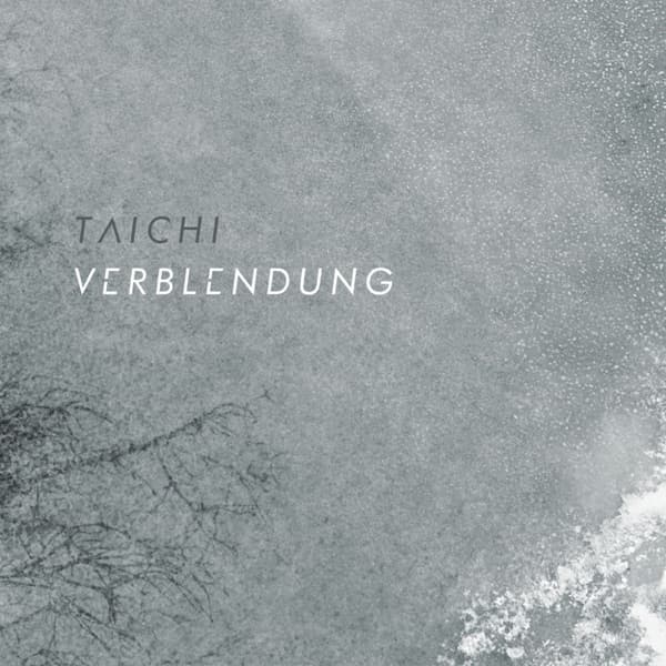 Cover von Verblendung