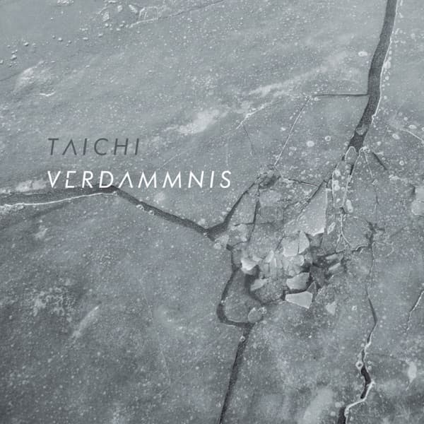 Cover von Verdammnis