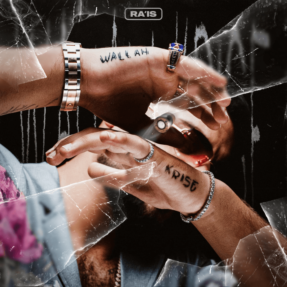 Cover von Wallah Krise