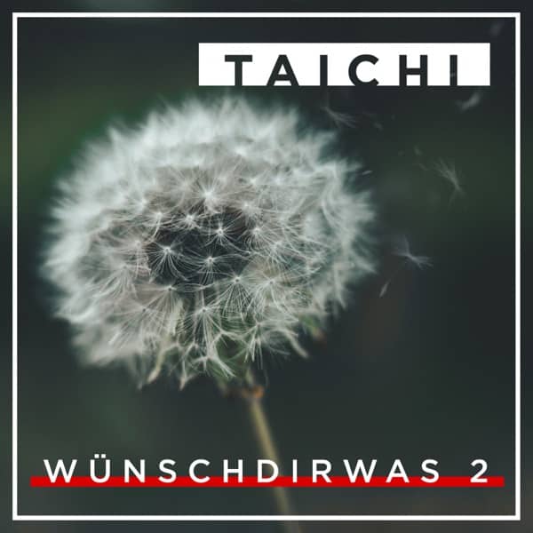Cover von Wünsch dir was 2