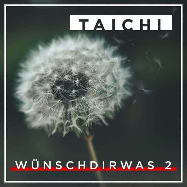 Cover von Wünsch dir was 2