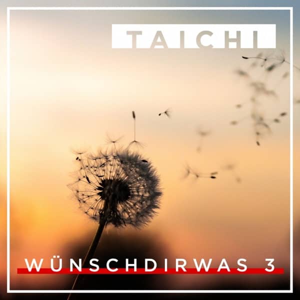 Cover von Wünsch dir was 3
